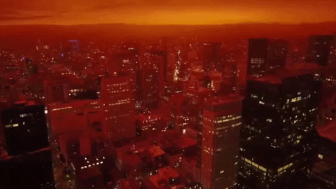 giphy.gif